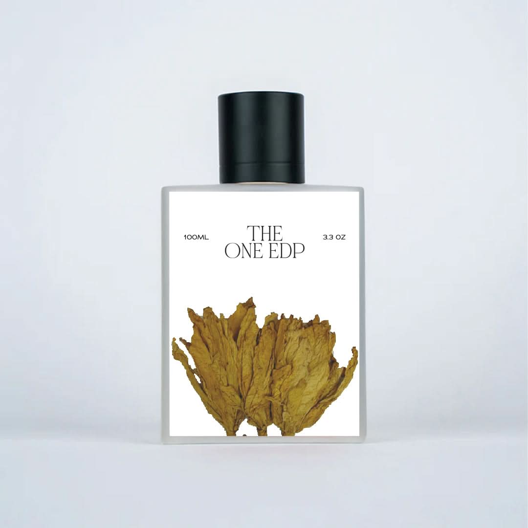 XP15 (Inspired by DandG The 0ne Edp) Worn by LeBr0n J@mes